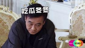 演员请就位2吃瓜,揭秘幕后花絮与精彩瞬间