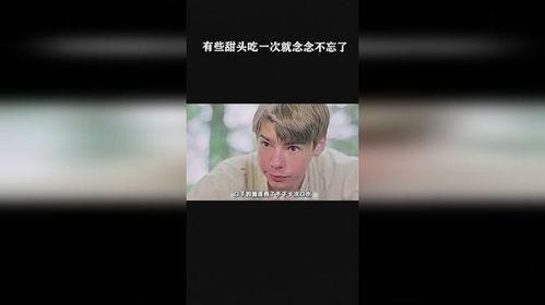 念念不忘吃瓜,一场关于美食与记忆的奇妙之旅