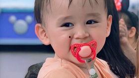 俩阿爸吃瓜,揭秘娱乐圈幕后风云