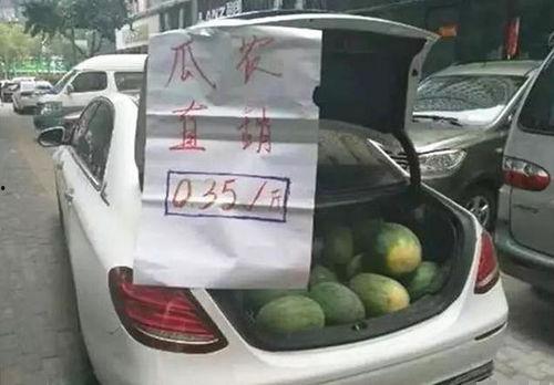 汾阳女车主吃瓜,一场网络热议的真相追踪