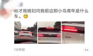 汽车倒车吃瓜,揭秘汽车倒车时的趣味瞬间