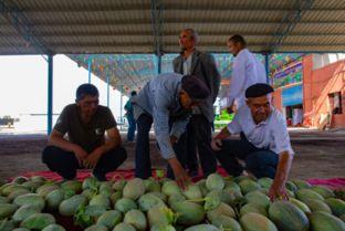 新疆吃瓜的群众,见证瓜果飘香下的生活变迁