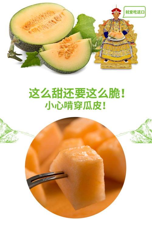 蜜瓜早上吃,开启美好一天的健康之选