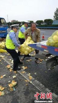 煎饼侠吃瓜群众,揭秘娱乐圈背后的八卦风云