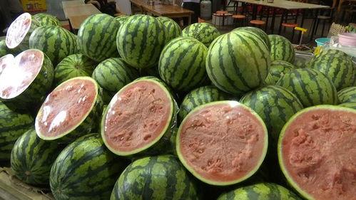 15元吃瓜视频,揭秘短视频背后的惊人真相