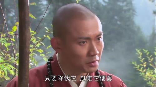 唐僧说悟空吃瓜,唐僧的智慧与悟空的幽默