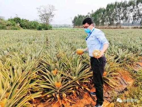 海南群众吃瓜视频