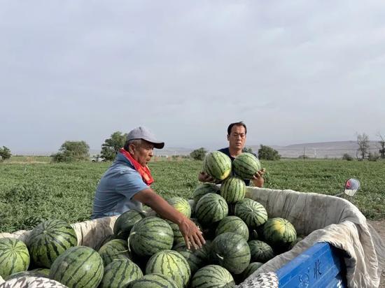 吃瓜国家事件,真相与争议交织的全球焦点