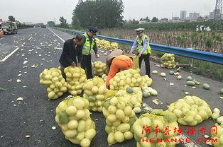 塔城吃瓜群众,揭秘当地生活百态