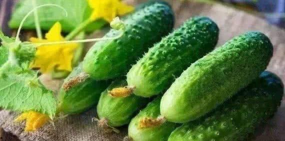 吃瓜多了粪便绿色,吃瓜过多引发绿色粪便之谜揭秘