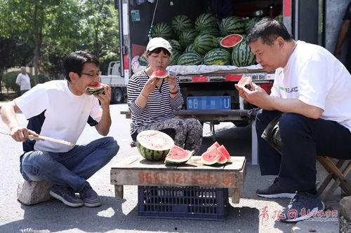 参观吃瓜,一场味蕾与视觉的盛宴之旅