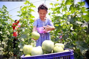 客运段吃瓜,揭秘列车上的欢乐时光