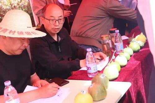 济宁吃瓜群众,吃瓜群众的热议焦点