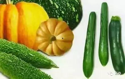 可以继续吃瓜吗,揭秘“可以继续吃瓜”的奥秘与乐趣