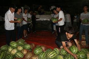 景区女子吃瓜,瓜中藏宝引围观