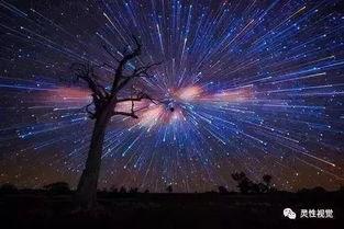 夜空吃瓜比赛,一场别开生面的吃瓜比赛